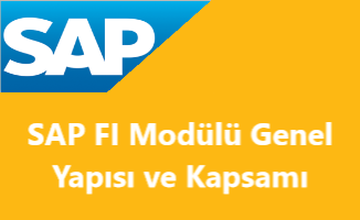 sap_fi_modulu_kapsami_ve_sap_fi_modulu_genel_yapisi