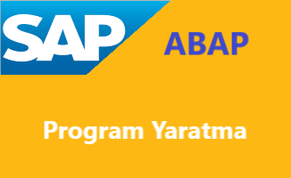 sap_abap_yeni_program_yaratma_olusturma