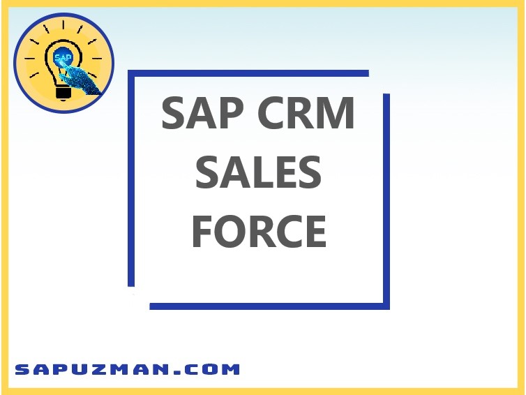 sap_crm_sales_force