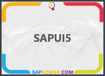 SAPUI5_NEDIR