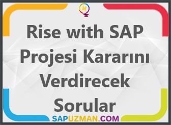 rise_with_sap